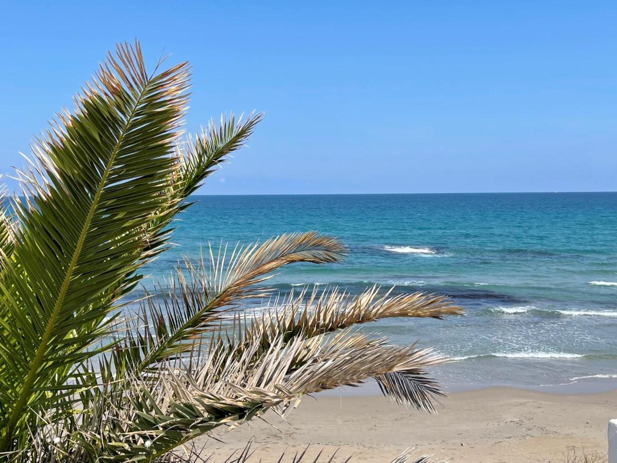 Luxury Apartment Turquesa Del Mar Αλικάντε Εξωτερικό φωτογραφία